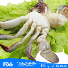 HL003 Delicious iqf swimming crab